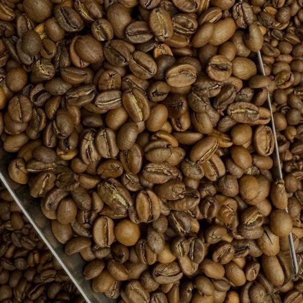 Ефіопія Kaffa 1 кг (100% арабіка) | VYSHNEVE | кава в зернах kaffa фото